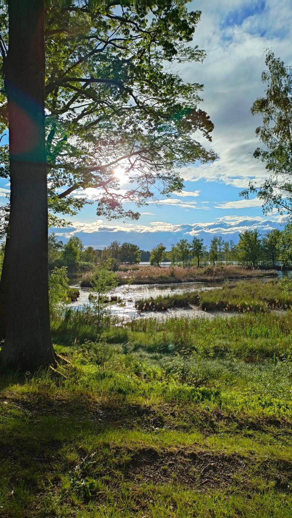 Rekreacni Chata Val Veselí nad Lužnicí Exterior foto